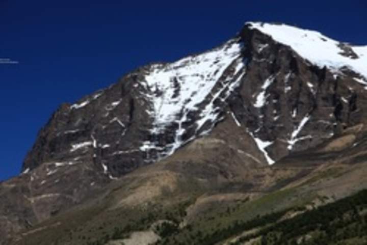 Ecosistema cordillerano chileno