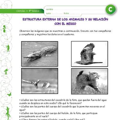 Estructura corporal de animales relacionados con su medio