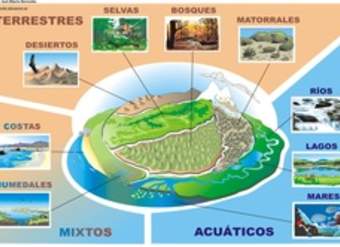 Tipos de ecosistemas