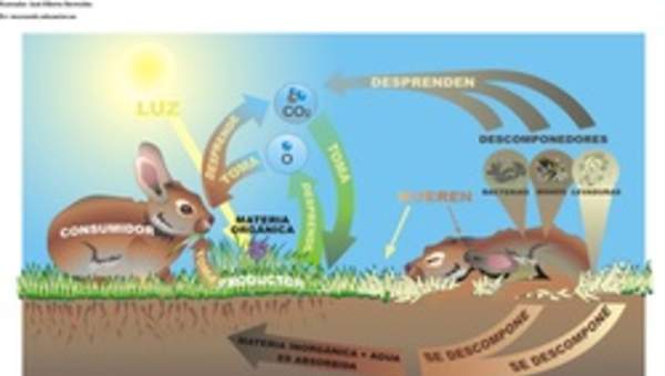 Ciclo de vida de la materia