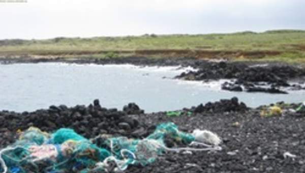 Contaminación en playa