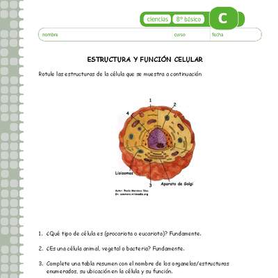 Estructura y función celular