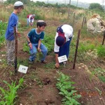 Niños de Israel