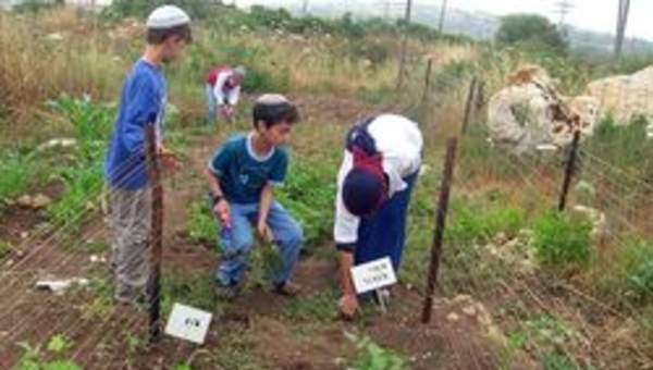 Niños de Israel