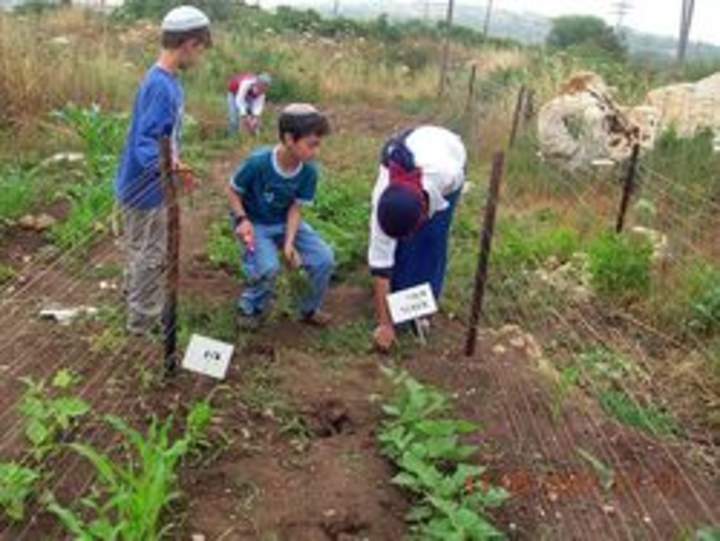 Niños de Israel