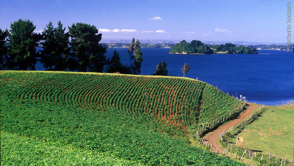 Lago Budi