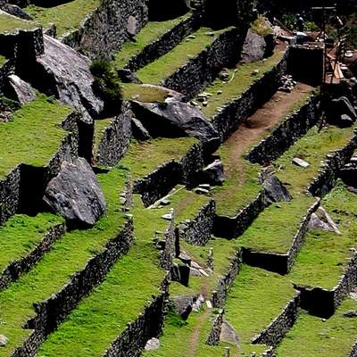 Terrazas de cultivo incas