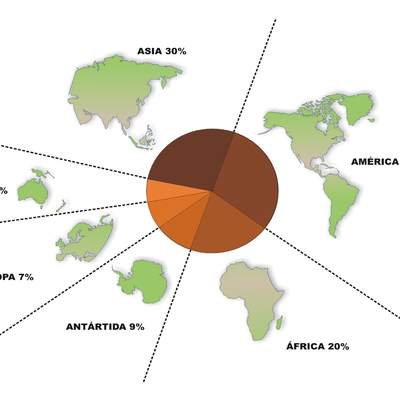 Continentes del mundo