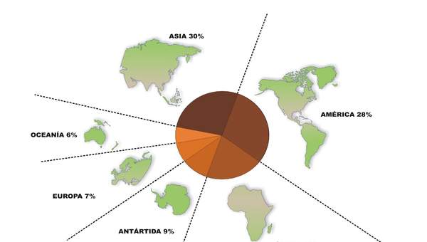 Continentes del mundo