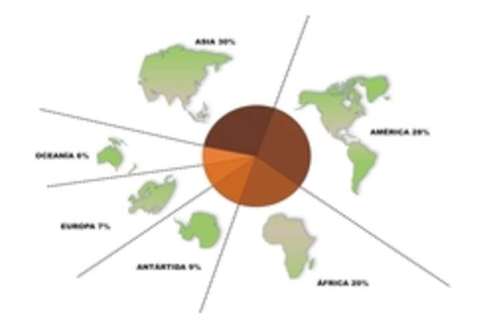 Continentes del mundo