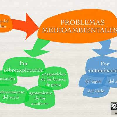 Problemas medioambientales