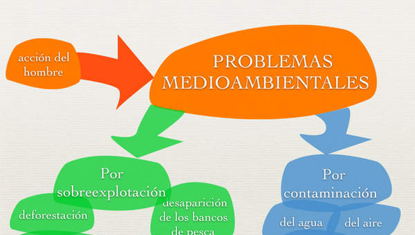 Problemas medioambientales