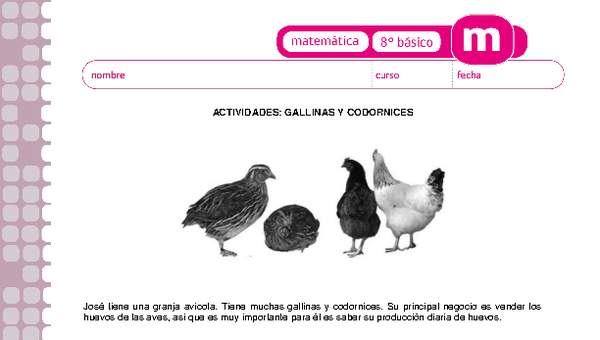 Gallinas y codornices