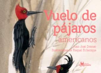 Vuelo de pájaros americanos