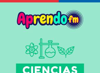 AprendoFM: Ciencias - 8° OA8 - Cápsula 139 - Tipos electricidad