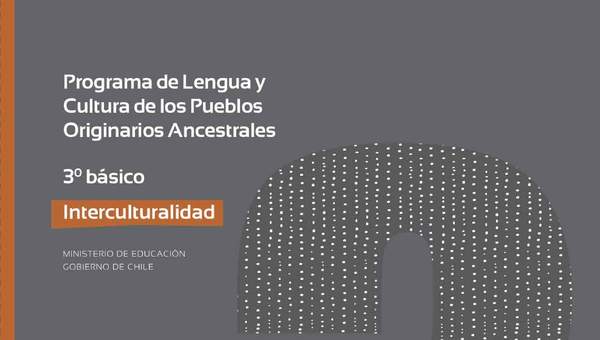 Programa de Estudio INTERCULTURALIDAD 3° básico