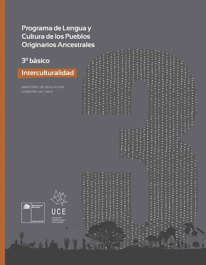 Programa de Estudio INTERCULTURALIDAD 3° básico