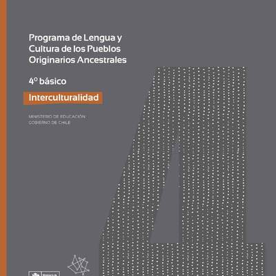 Programa de Estudio INTERCULTURALIDAD 4° básico