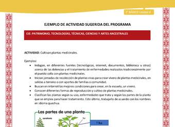 Actividad sugerida: LC02 - Colla - U4 - N°4: Cultivan plantas medicinales.