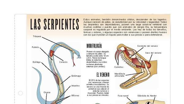 Serpientes