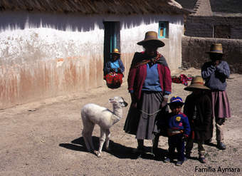 Familia Aymara