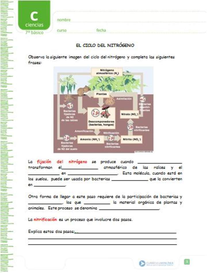 El ciclo del nitrógeno