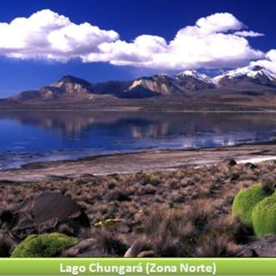 Lago Chungará, Zona Norte