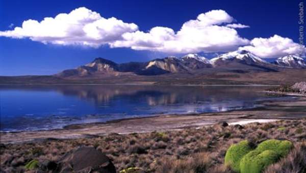 Lago Chungará, Zona Norte