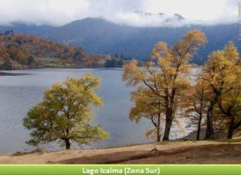 Lago Icalma, Zona Sur