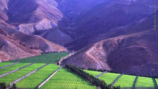 Valle de Elqui, Zona Norte