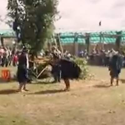 Video de Actividad sugerida: LC02 - Mapuche - U2 - N°6: PRACTICAN UNA DANZA MAPUCHE PROPIA DE SU TERRITORIO