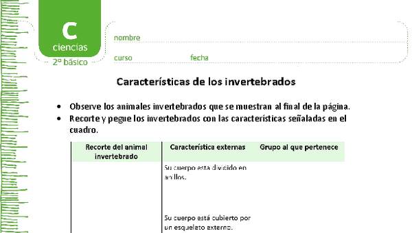 Características de los invertebrados