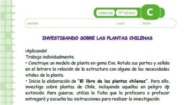 Investigando sobre las plantas chilenas