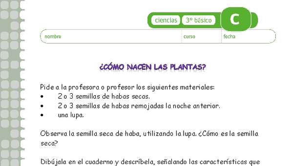 ¿Cómo nacen las plantas?