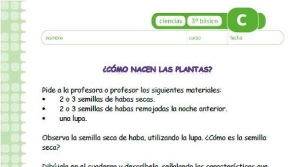 ¿Cómo nacen las plantas?