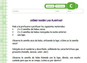 ¿Cómo nacen las plantas?