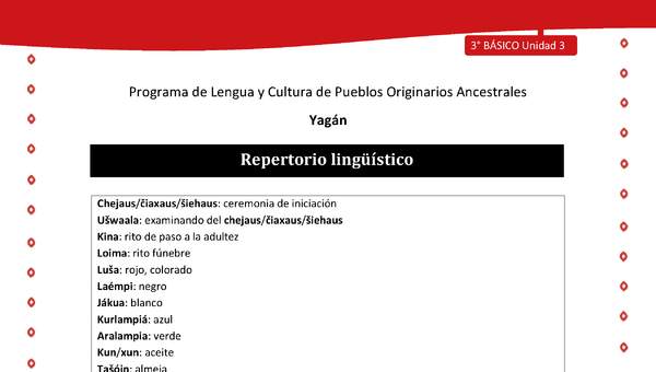 Repertorio lingüístico