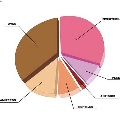 Grupos de animales en peligro de extinción en España