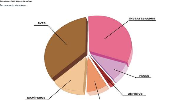 Grupos de animales en peligro de extinción en España