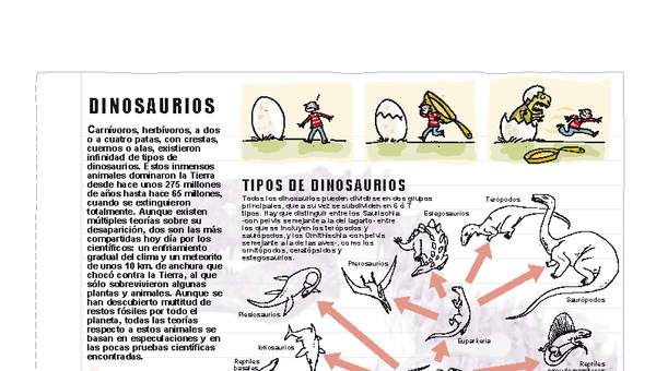 Tipos de dinosaurios