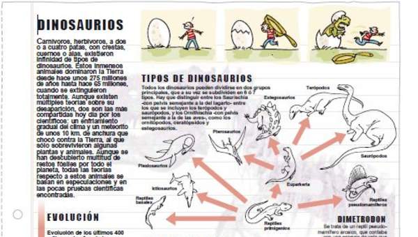 Tipos de dinosaurios