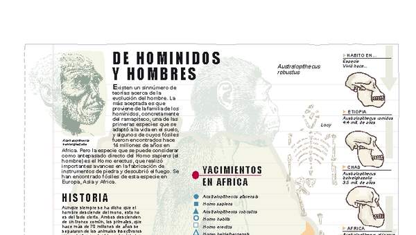 Historia de homínidos y hombres