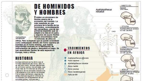 Historia de homínidos y hombres