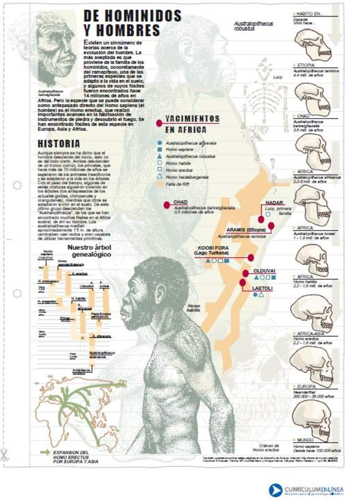 Historia de homínidos y hombres