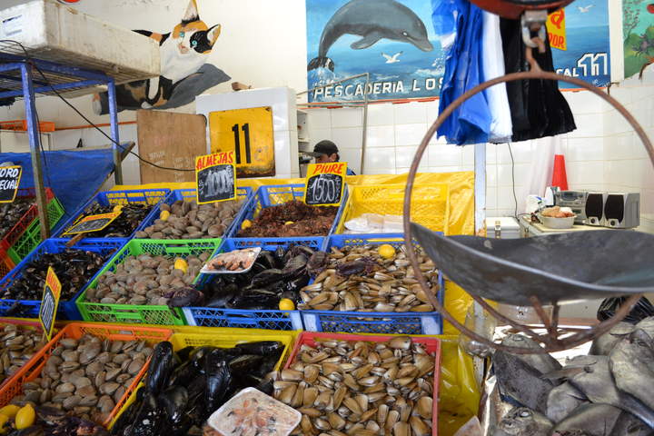 Caleta con mariscos a la venta