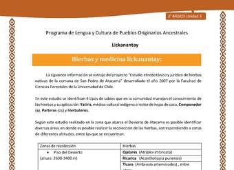 Hierbas y medicina lickanantay