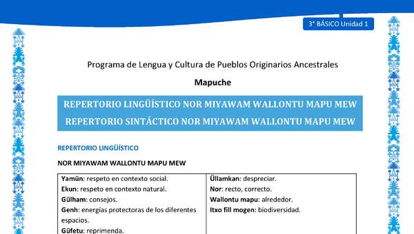 Repertorio lingüístico y sintáctico Nor miyawam wallontu mapu mew