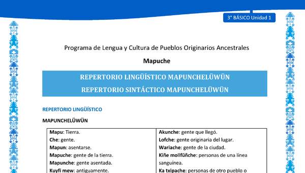 Repertorio lingüístico y sintáctico Mapunchelüwün