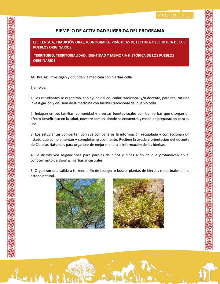 02-Actividad Sugerida LC03 COL-U03-LS03;LS05;OA07-Investigan y difunden la medicina con hierbas colla