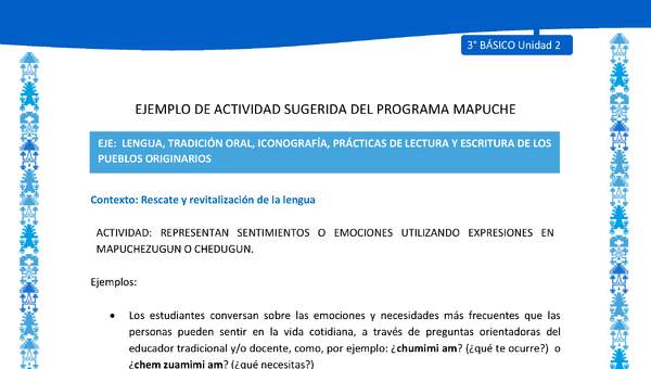 Representan sentimientos o emociones utilizando expresiones en mapuchezugun o chedugun